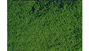 HEKI 1602 Mikroflor: Lombanyag, téphető, sötétzöld (28×14 cm)