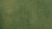 WOODLAND Scenics RG5132 Fűlap, zöld fű, 127×83 cm