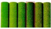 BUSCH 7223 Fűszőnyeg, sötétzöld, 100×80 cm