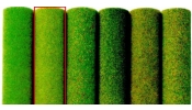BUSCH 7271 Fűszőnyeg, májusi zöld, 150×100 cm