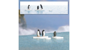 BUSCH 7923 A-Set: Pinguine auf Eis H0