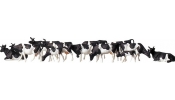 FALLER 158050 Fekete foltos tehenek