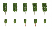 FALLER 181592 10 Vorgartenbäume, Thuja, säu FALLER 181592 10 Vorgartenbäume, Thuja, säu