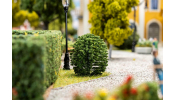 FALLER 181594 10 Vorgartenbäume, Thuja, run