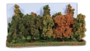 HEKI 2000 Herbstwald, 10 Bäume 10-14 cm