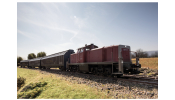 Märklin 39902 Diesellok BR 290 DB AG