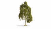 NOCH 20120 Silver Birch Tree