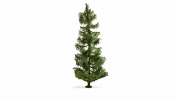 NOCH 20190 Spruce Tree