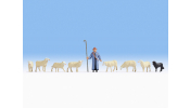 NOCH 36748 Sheep and Shepherd