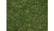 NOCH 7084 Mezei fű, zöld, 5 mm (30 g)