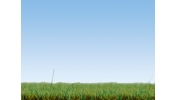 NOCH 08150 Szórható fű, tavaszi mező, 2.5 mm (120 g)
