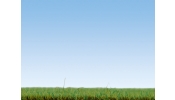 NOCH 08151 Szórható fű, nyári mező, 2.5 mm (120 g)