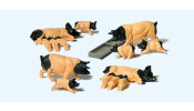 PREISER 10149 Schwäbisch Hällische Schweine