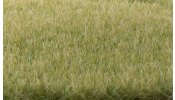 WOODLAND Scenics FS619 4mm Static Grass Light Green