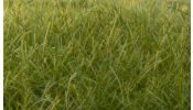 WOODLAND Scenics FS625 12mm Static Grass Dark Green
