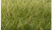 WOODLAND Scenics FS626 12mm Static Grass Medium Green