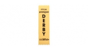 WOODLAND Scenics P428 PineCar Race Official/Special Award Ribbons (x10)